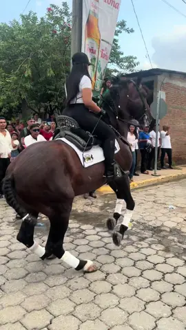 Mi vicio por siempre😮‍💨 #fyp #hipicasnicaragua  #foryou 