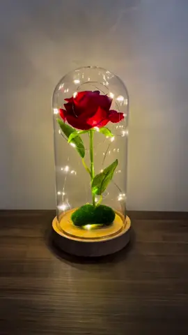 Luminária Cúpula A Bela e A Fera / O pequeno Príncipe #luminaria #cupula #abelaeafera #opequenoprincipe #viraltiktok 