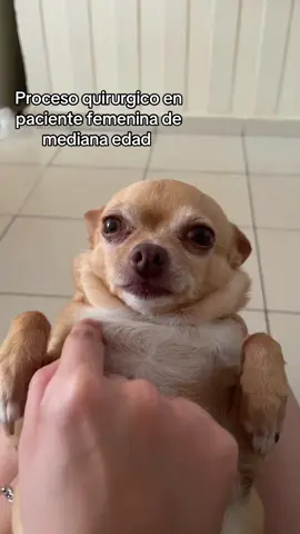 Una clienta más satisfecha 👌🏻 #lifting #facialtime #botox #stetik #mascotastiktok 