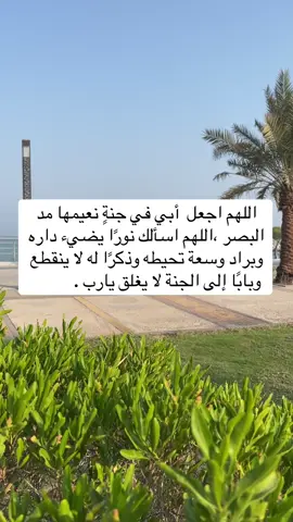 #صدقة_جارية_لوالدي_وللمسلمين_والمسلمات #صدقه_جاريه_لجميع_اموات_المسلمين #صدقة_جارية_لوالدي #explore #foryou 