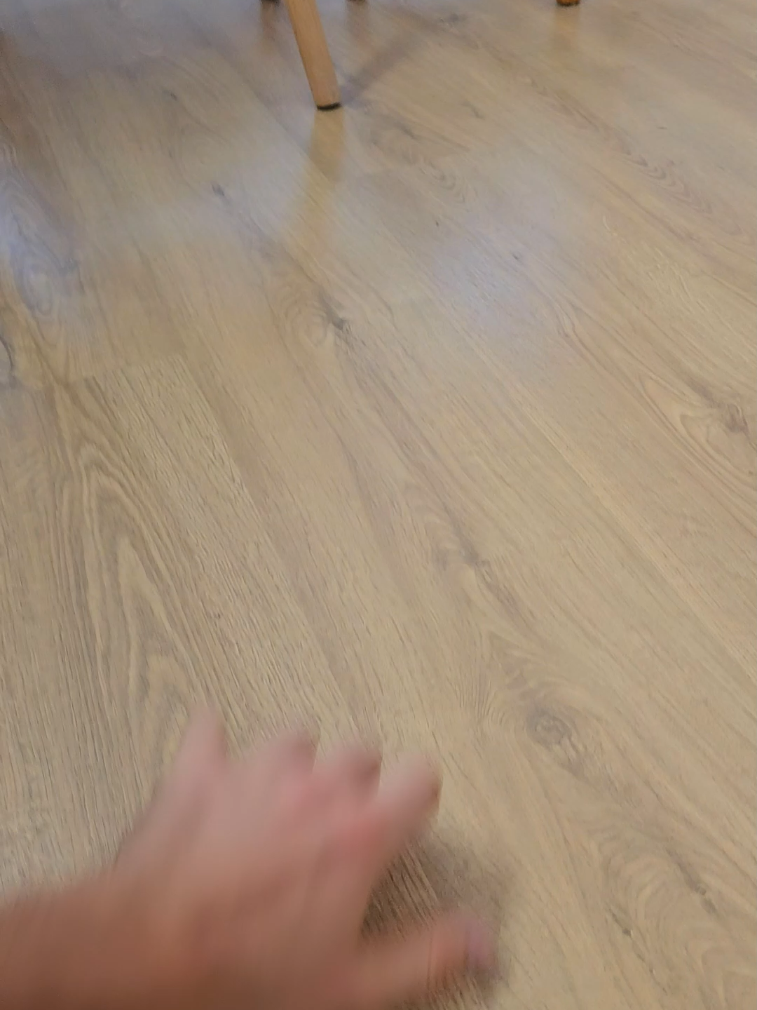 Жена это святое #чувства #юмор #семья #красотка