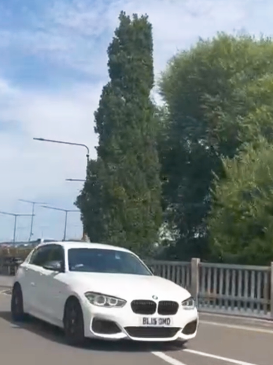 #creatorsearchinsights  #creatorinsights, #sciencecontent, #techtrends, #internetculture,  