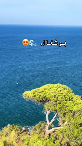 #algerie🇩🇿 #morocco🇲🇦 #tunisia🇹🇳 