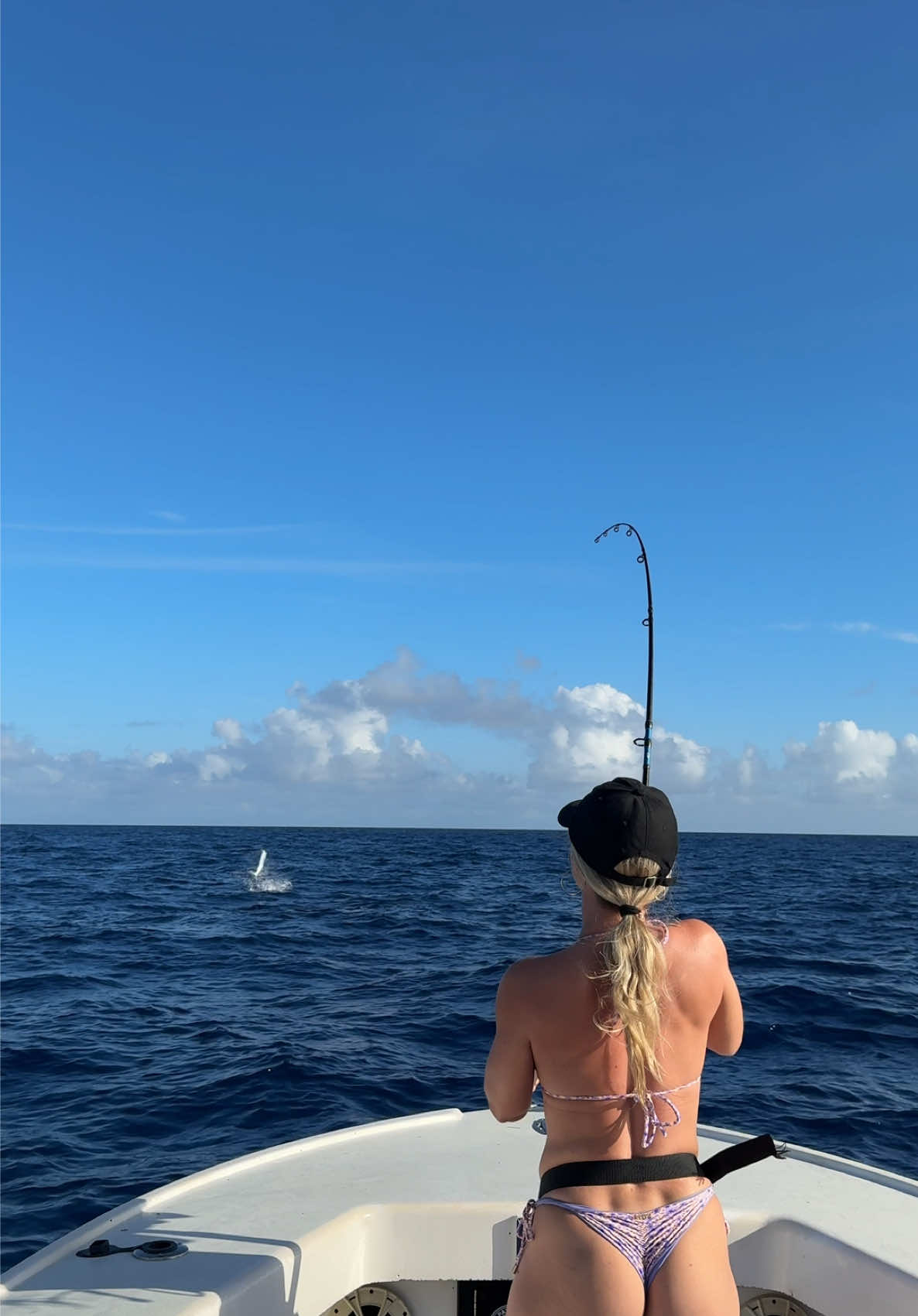 My first Atlantic Sailfish!!🎣👀🔥 I’ll never forget this moment!!🙌🙌 Jackie Petra Fishing Charters #fishing #boat #foryou #fishingtrip #fishingtiktoks 