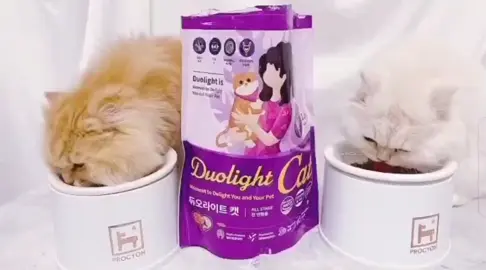 Thức ăn hạt Duolight cat cho mèo 🐈 