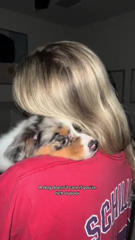 My girl 🫶🏻 #dogsoftiktok #australianshepherd #cutedog