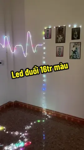 Các bác tham khảo#denled #denledtrangtri  @Mèo Gia Dụng  @Mèo Gia Dụng  @Mèo Gia Dụng 