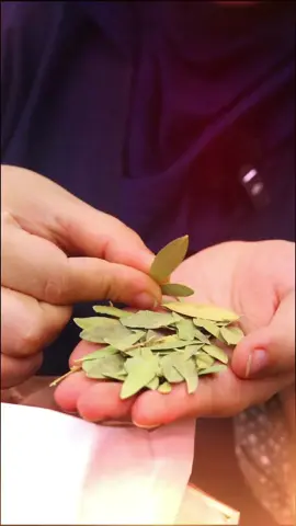 ✨ عشبة الكتم  سر الجمال الطبيعي لشعرك ✨ 🌿 تمنحك لونا أسود داكن طبيعي مع لمعة صحية 🌿 تقوي الشعر من الجذور وتحدّ من التساقط 🌿 تغذي فروة الرأس وتزيد كثافة الشعر لطلب او الاستفسار يمكنكم الاتصال برقم  ☎️05 52 29 29 29  ☎️0560 08 04 22  او زورونا في جميع محلات إبيسيا مرحبا بكم  طريقة الاستعمال تلقاوه في أول تعليق 👇 #الكتم #عناية_طبيعية عناية_طبيعية #صبغة_شعر_طبيعية #شعر_لامع 