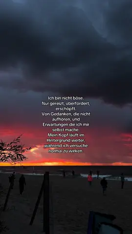 #yourpage #foryou #fy #zitat #verstehen 