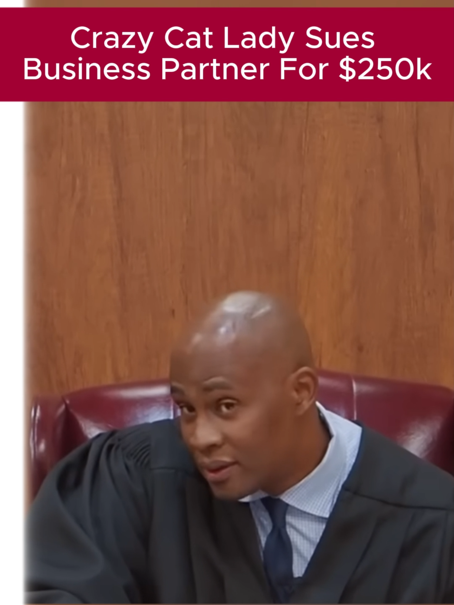 #JudgePorter #CourtroomDrama #CaseDismissed #CrazyCatLady #CoutureCats #LuxuryPets #CatBusiness #BusinessFail #DramaAlert #ComedyVideo #PetFashion