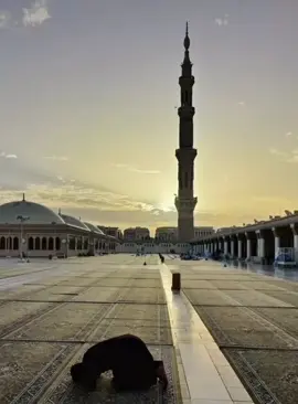 #hawler_slemani_dhok_karkuk_hallabja 😘😘😘🍁🍁🍁🥰🥰🥰🌹🌹🌹🤲🤲🤲❤❤❤