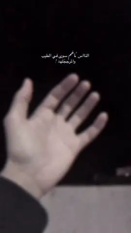 #المصمم #📮 #🐺 