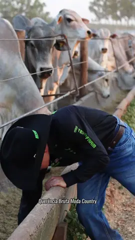 CAMISA TEXAS FARM JA DISPONÍVEL  .  Dividimos suas compras em 10X sem juros😍 . QUERÊNCIA BRUTA MODA COUNTRY trazendo sempre os melhores trajes para você 🔥🏆 . Quer comprar seus trajes Brutos ?  o melhor 100% de CONFIANÇA no envio ? Então só chama no direct que encaminhamos para a venda e enviamos para todo Brasil 📦🇧🇷🎉 . #country #rodeio #boiadeiro #peão #cowboy                     