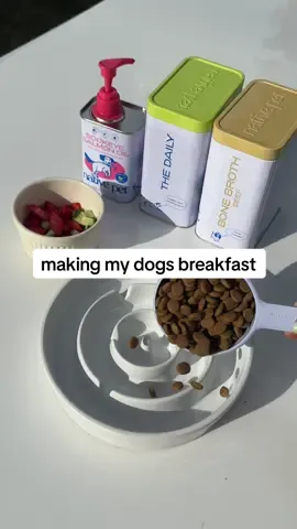 let’s make an all around healthy breakfast 🍽️ 👉 bone broth for hydration and flavor  👉 the daily for boosting your dogs all around health with benefits like mobility support, skin and coat support, immune support & gut health support. 👉 salmon oil for antioxidants and anti-inflammatory. great for joints & skin health. ##dogtok##doghealth##dogfood