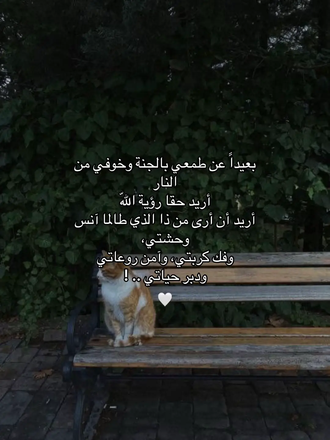 #fyp #viral #foryou #foryoupage #بدون_موسيقي 