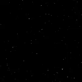 Hashiras (Remake) | wlo - pt6