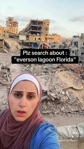 been dying to experience the 31 evermore bay lagoon pool ever since I saw it from my plane window last year and my dreams finally come true best pool in Orlando hands down #eversonlagoonflorida #orlandoflorida #traveltiktok #travelbucketlist #fyp 