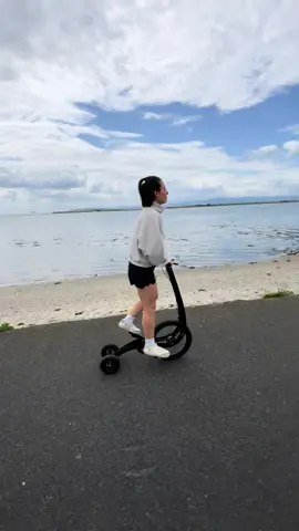 Art on wheels. Halfbike. #halfbike 