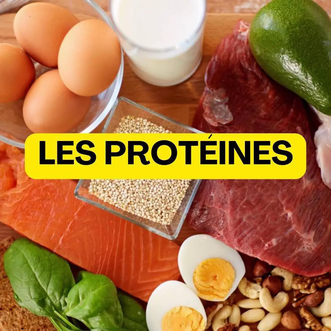 Il suffit juste de trouver le bon équilibre  Tu perds du poids quand ton corps dépense plus d’énergie qu’il n’en reçoit  ça ne veut pas dire te priver, mais : – bouger plus – choisir des aliments qui rassasient vraiment – créer un déficit sans frustration #perdredupoids #perdredugras #reequilibragealimentaire #déficitcalorique #proteine 