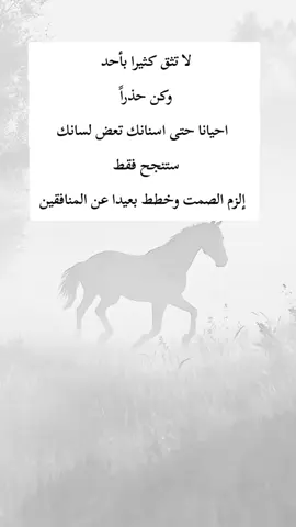 #اكسبلور 