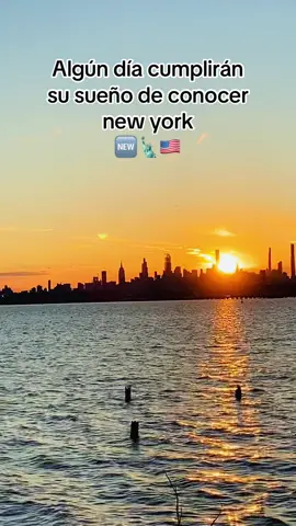 #newyork #usa🇺🇸 #parati #fyp #viral 
