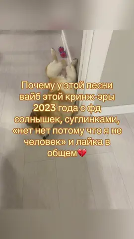 Ну рял же