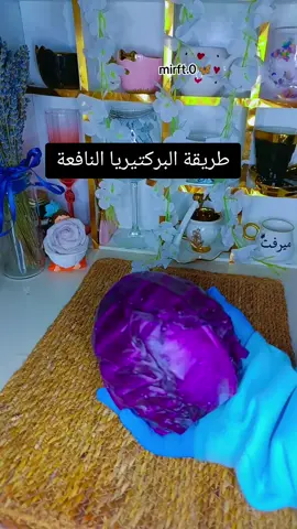 طريقة البكتيريا النافعة في المنزل #وصفاتي #وصفات #mirft #💞 #explore 