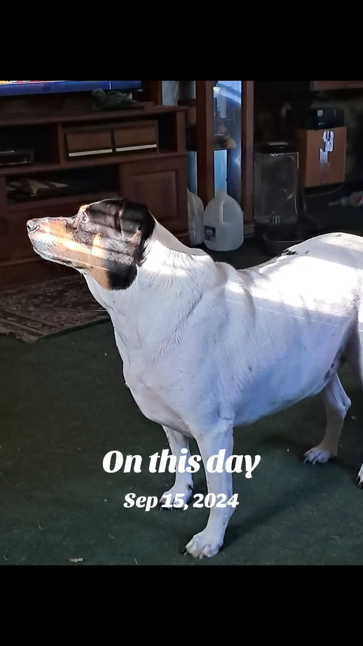 #onthisday
