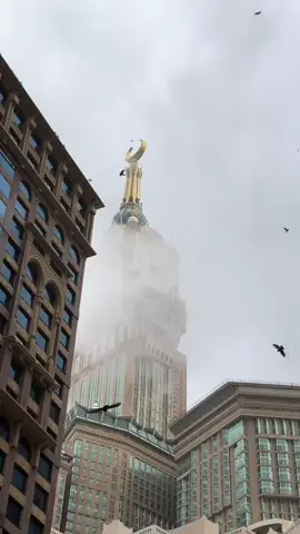 🕊️♥️🕊️