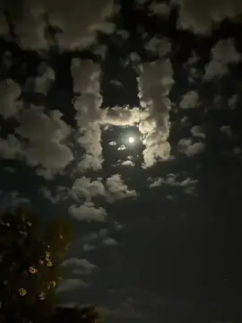 #H💗👑 حرفي 🤭💗