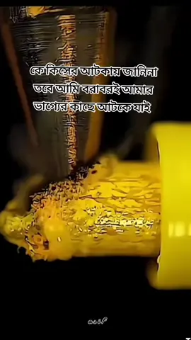 #fy #foryoupageofficiall #viraliktok❤️ #লাইক_view_আসেনা_সবাই_সাপোর্ট_করো🙏🙏🙏 