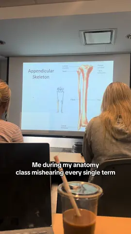 And my prof if basically rapping the terms so I’m sitting there like 🤠  #anatomy #stem #womeninstem 