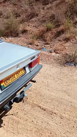 #مغنية_تلمسان_13____58ولاية عشق 505 TiHø Git ♥️📿🪬✈️🐊🪬