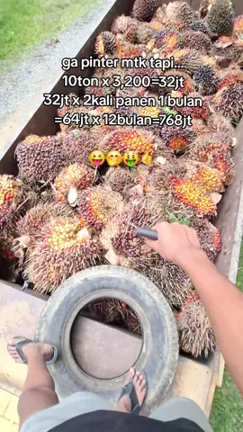 #fypage #beranda  #sawit 
