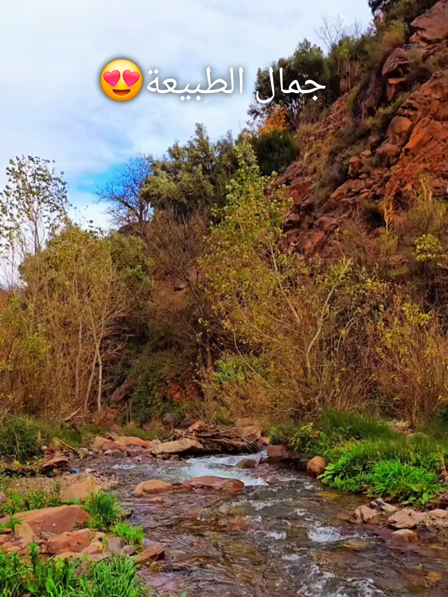 #الشعب_الصيني_ماله_حل😂😂 #fyp #morocco #imazighen♓♓❤️❤️ #explore @Dr Biker 