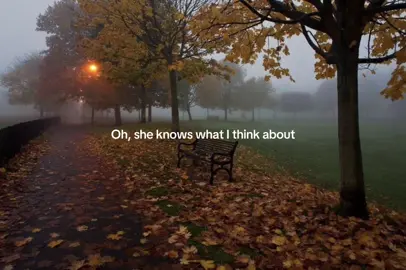 this song is literally autumn | #sweaterweather #theneighbourhood #pinterest #aesthetic #foryou 