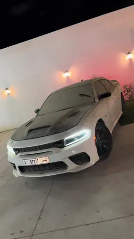 الوحش طلع☠️ #مصراته_الصمود🇱🇾🇱🇾🔥😌 