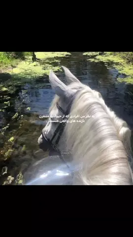 مگه نه؟  #فوريو #گمشو_برو_فوریو #فوريو_foryo #فور #فوريو_foryo #فوريو_foryo  .  .  🐥🐥🐥