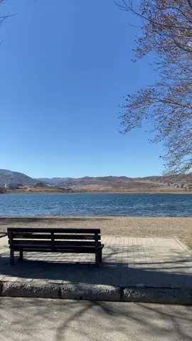 Lisi Lake. #fyp #view #georgia #traveltiktok #xzyabc 