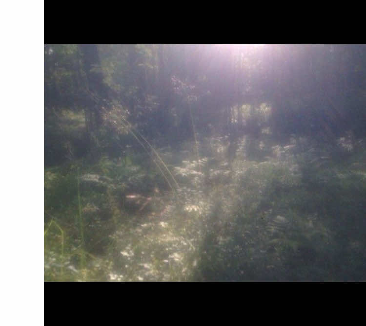 say yes #elliottsmith #moodboard #pinterest #nostalgia #life 