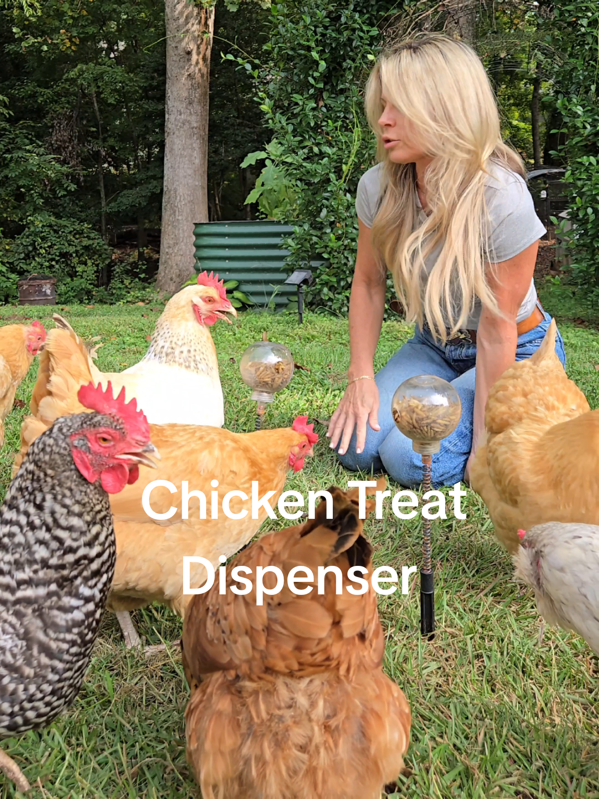 My favorite Chicken Toy is on sale now! Trust me, they love this thing! Durable Material: Made from sturdy plastic for long-lasting use Easy to Install: Simple to set up in chicken coops Enrichment Toys: Provides enrichment and entertainment for chickens Interactive Design: Features a swing feeder to engage chickens Slow Feeder: Helps chickens eat slower, promoting better digestion. 
