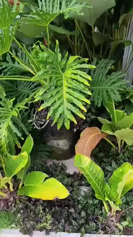 you just have to live with the moment and use the time. #Foryou #fyp 