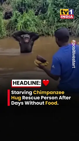 Imagine if you started every day with positive news. How would that affect your daily life?