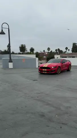 Roof Top parking #socalshelbys #shelby #fyp 