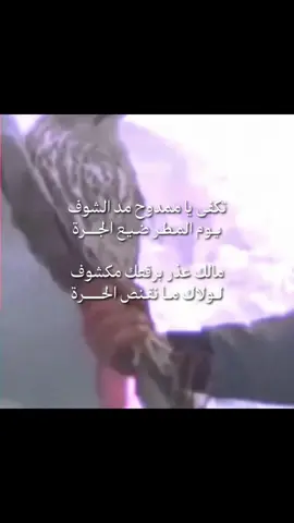 #fyppppppppppppppppppppppp #fyp #fypage #بدون_موسيقى #قصيد 