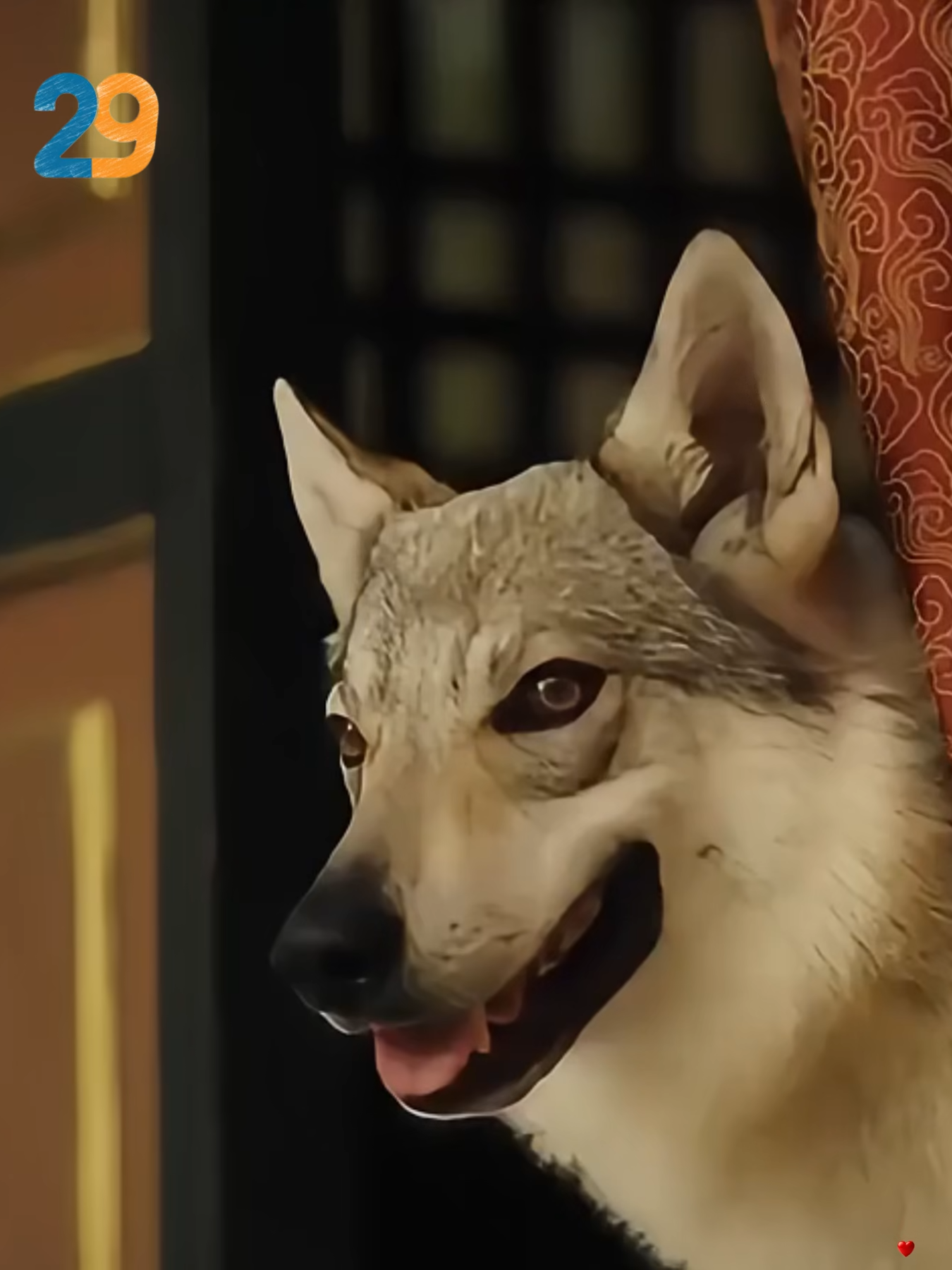 Tập 2 - Thần nữ chuyển thế vào thân cô bé bị bỏ rơi giữa rừng được bầy sói nuôi lớn trở thành ân nhân cứu mạng thái tử !#review #reviewphimngann🎬 #phimhaymoingay #reviewphim #viral