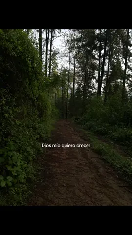 #partiiiiiiiiiiiiiiiiiiiiiiiii #geramx444 #geramx #partiiiiiiiiiiiiiiiiiiiiiiiii #geramx444 