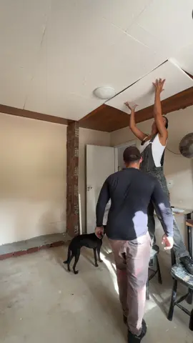 Teto de PVC com isopor ✨#reforma #pintura #dicasdecoracao #DIY 