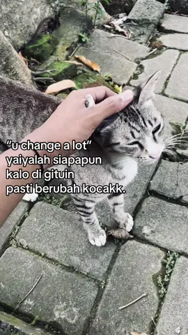 #katakata #4u #fypage 