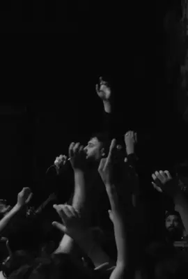 #سيد_فاقد #الذاكر_مؤمل_كاظم #موكب_الاحزان #تيك_توك #اكسبلورexplore 